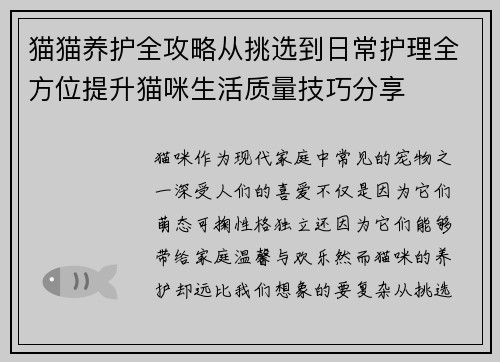 猫猫养护全攻略从挑选到日常护理全方位提升猫咪生活质量技巧分享